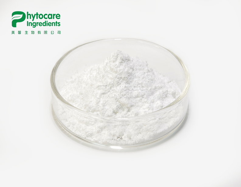 Hydrogenated Lecithin Powder